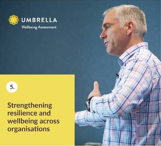5. Strengthening resilience and wellbeing across organisations